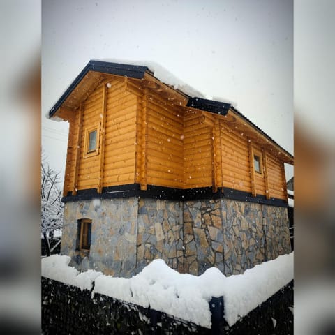 Vila Helena House in Montenegro