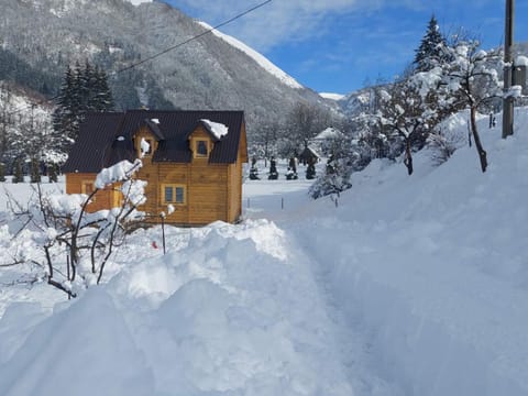 Dušan_guest_house Apartment in Montenegro