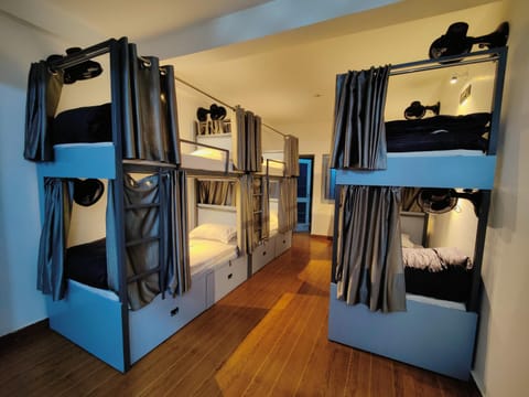 bunk bed