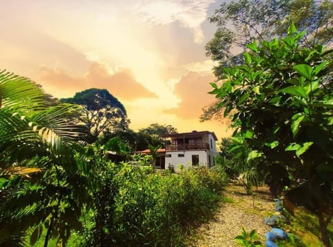 Natural landscape, Garden, Garden view