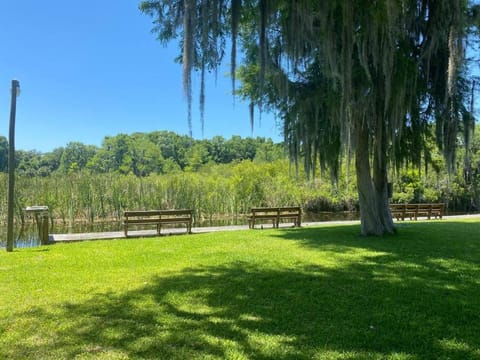 Professor Rousseau's Tiki Hideaway Apartment in Florida