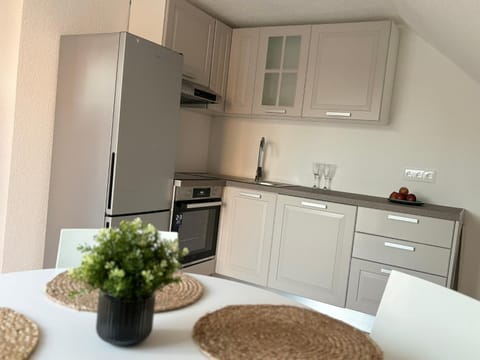 Kitchen or kitchenette, dishwasher, stove