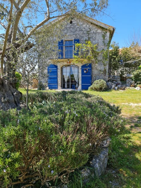 Property building, Garden view