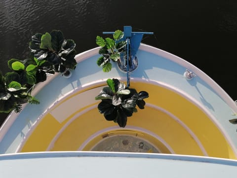 Balcony/Terrace, Decorative detail