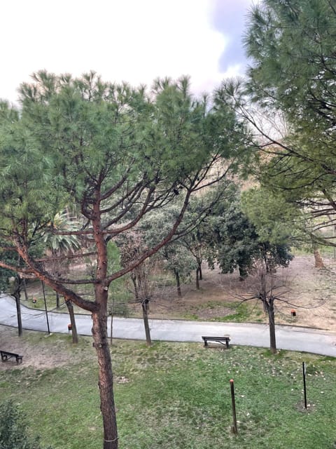 Linda House2 Apartment in Pescara