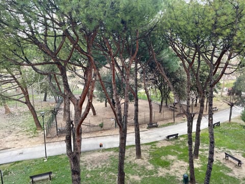 Linda House2 Apartment in Pescara