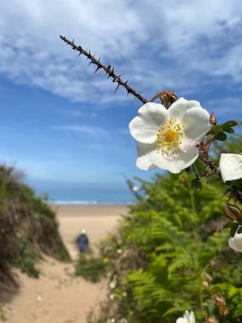 Sunny Nook, Pretty 1 bed modern cottage close to Woolacombe House in Ilfracombe