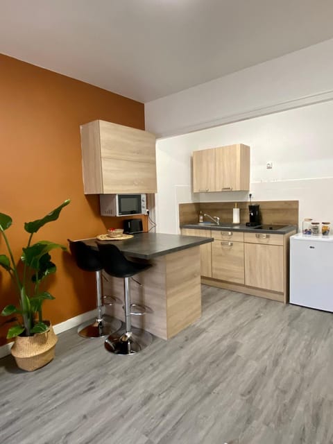 Studio Confort Centre Ville Apartment in Bourgogne-Franche-Comté