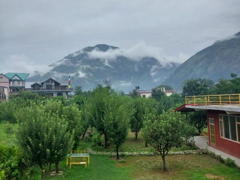 Property view