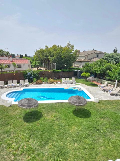 Natural landscape, Garden, Garden view, Pool view, Swimming pool, sunbed