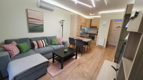 TV and multimedia, Living room, Decorative detail, Dining area, kitchen, air conditioner