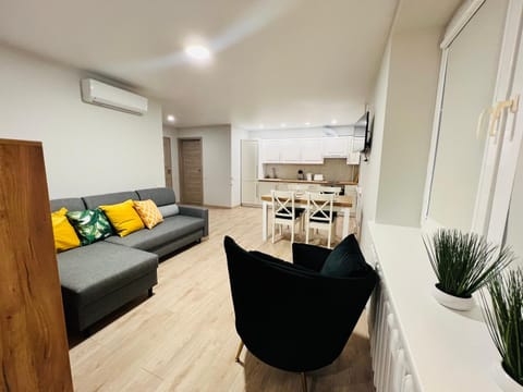 Living room, Dining area, air conditioner