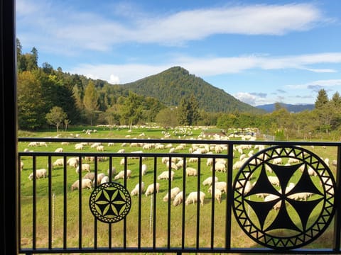 View (from property/room), Balcony/Terrace, Landmark view, Mountain view