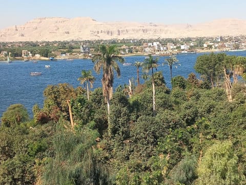 Natural landscape, River view