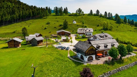 Natural landscape, Garden, Mountain view