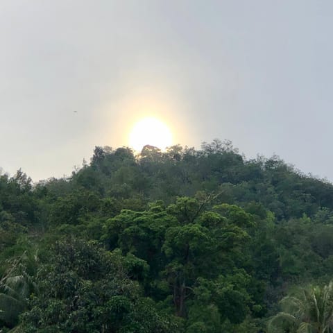 Natural landscape, Sunset