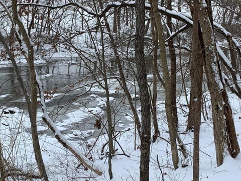 Cozy Creekside Cabin in the heart of Hocking Hills Cabin in Perry Township