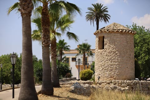 Property view