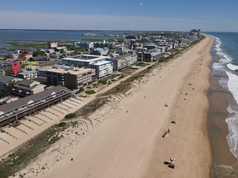 Nearby landmark, Bird's eye view, Beach