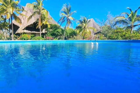 Day, Pool view, Swimming pool