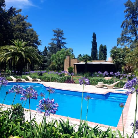 Spring, Day, Natural landscape, Garden, Garden view, Pool view, Swimming pool, sunbed
