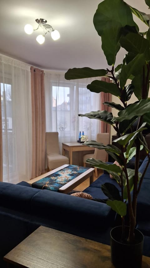 Living room, Photo of the whole room