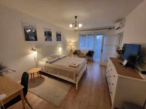 Bed, Balcony/Terrace, Living room, Photo of the whole room, Bedroom, air conditioner