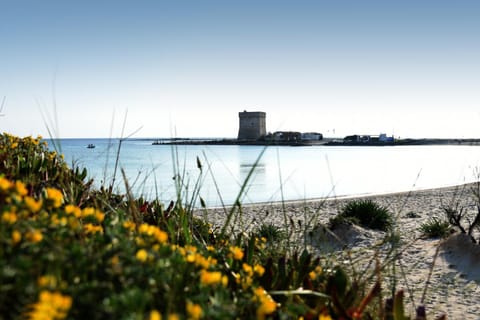 Nearby landmark, Natural landscape, Beach