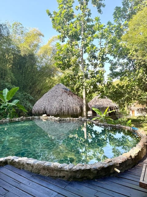 Swimming pool
