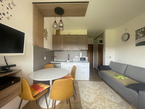 Studio D&D Apartment in Zlatibor District, Serbia