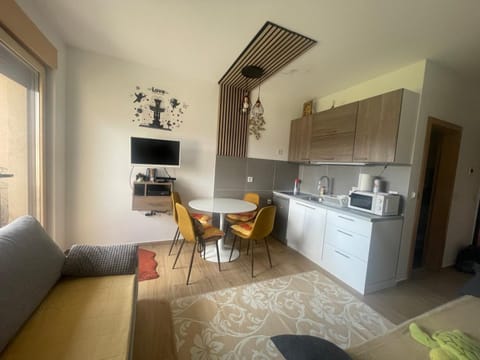 Studio D&D Apartment in Zlatibor District, Serbia