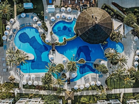 Day, Bird's eye view, Pool view, Swimming pool, sunbed