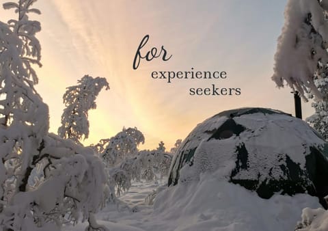 Arctic Nature Experience Glamping Luxury tent in Norrbotten County, Sweden