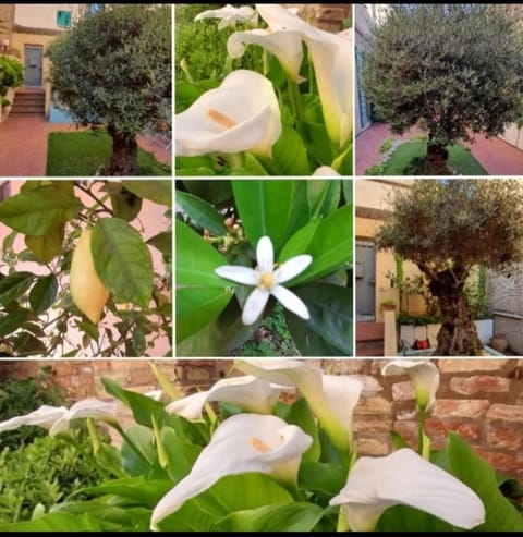 B&B La Chicca Bed and Breakfast in Ravenna