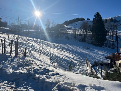 Chalet Les Sapins sauna au pied des pistes Chalet in La Bresse