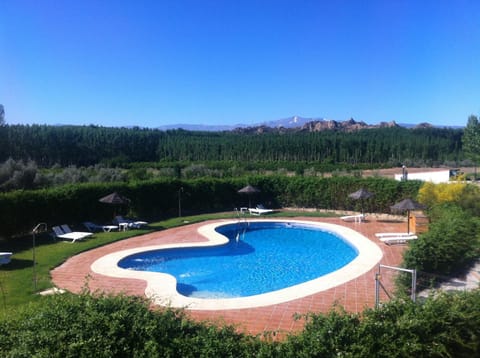 Swimming pool, Swimming pool