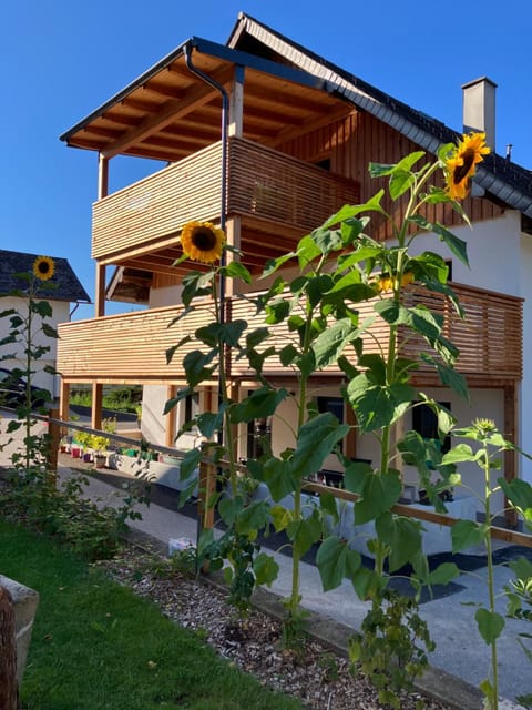 Property building, Garden, Garden, Balcony/Terrace, Balcony/Terrace, Balcony/Terrace, Garden view