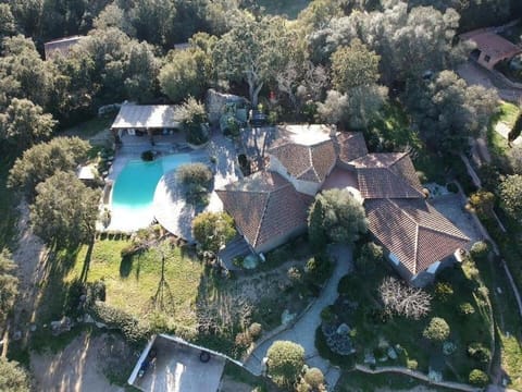 Natural landscape, Bird's eye view, Swimming pool