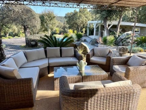 Patio, Day, Garden view