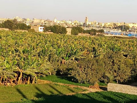 Nearby landmark, Natural landscape