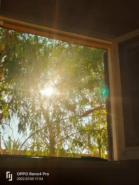 Day