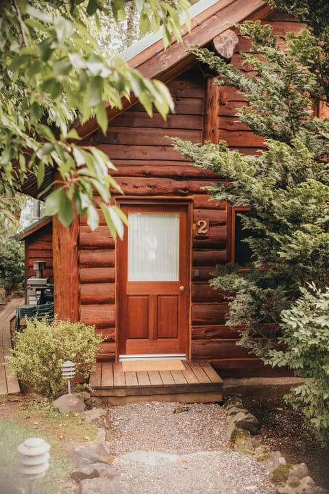 Wilder and Pine Riverside Cabins Cabin in Stevenson