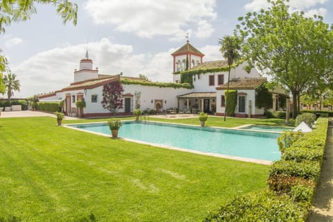 Garden, Swimming pool