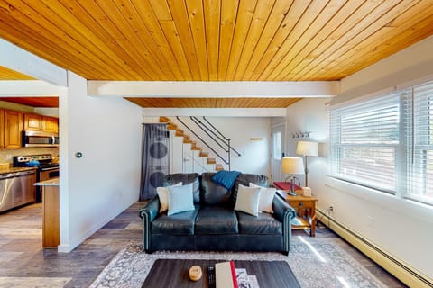 Shredders & Hikers Delight Upstairs Apartment in Vail