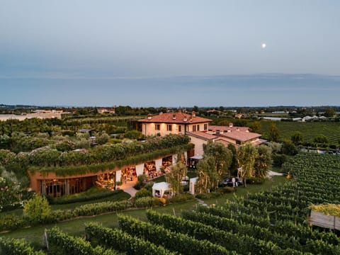 View (from property/room), Garden view