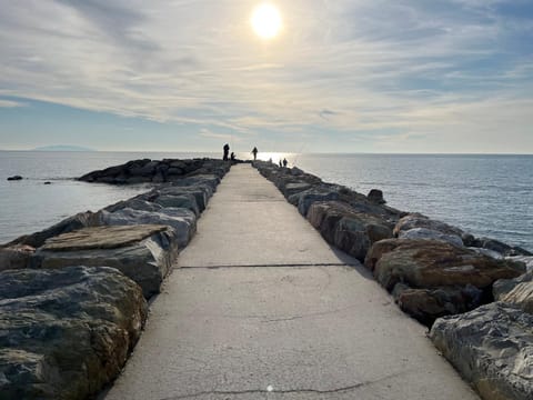 Natural landscape, Beach, Sea view, Sunset