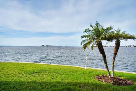 Dunedin Causeway Honeymoon Caladesi Island 1-1 Pool 211 House in Palm Harbor