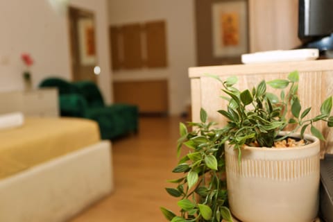 Bed, TV and multimedia, Living room, Photo of the whole room, Seating area, Bedroom