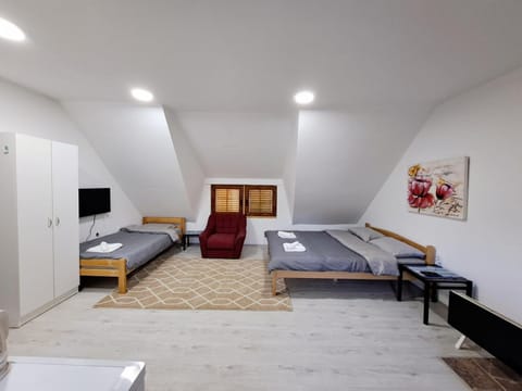 Apartmani LEON Brzeće/Apartmens LEON Brzece Apartment in Serbia