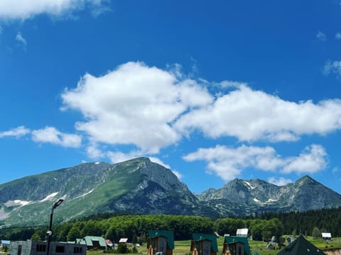 WOLFOREST Chalet in Montenegro